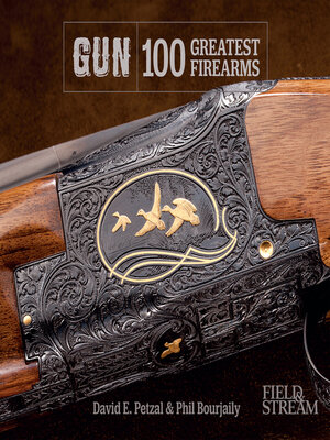cover image of Gun